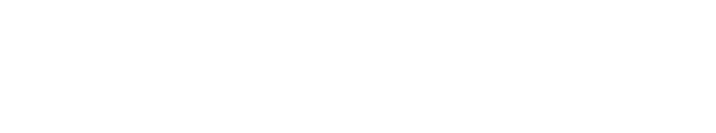 DaniBau-Logo-schrift-w